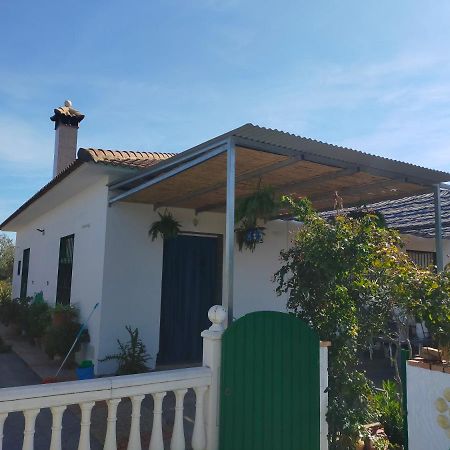 Alojamiento Rural La Perdiz 라 푸에블라 데 로스 인판테스 외부 사진
