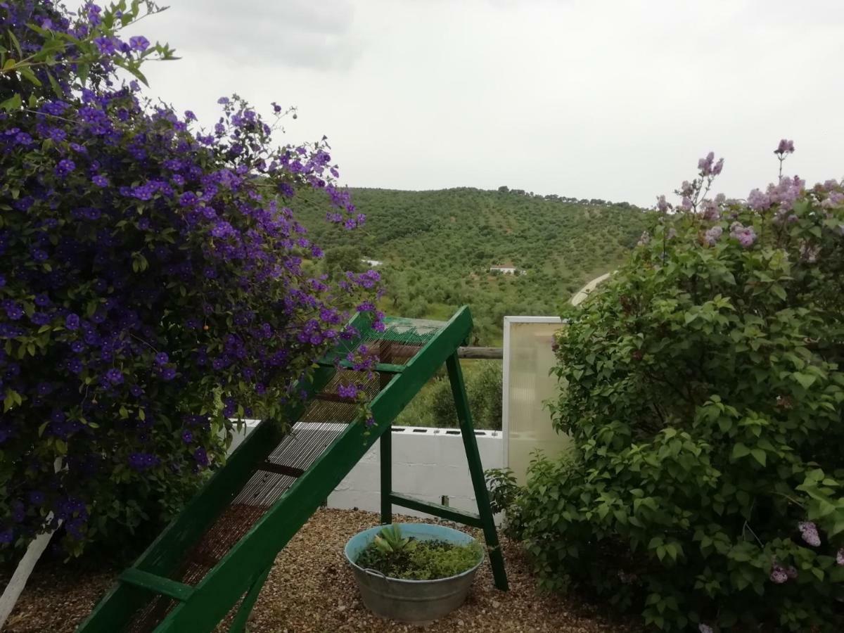 Alojamiento Rural La Perdiz 라 푸에블라 데 로스 인판테스 외부 사진